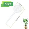 Pynqdfu 8 Pcs Clear Plant Watering Globes,Plastic Self Watering Bulbs Ball,Garden Water Device for Plant Indoor Outdoor(Small) - Image 2