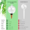 Soilagua 19 oz Extra Large Plant Self Watering Globes Top Fill, Plastic Water Bulbs, Slow Release Terracotta Self Watering Planter Insert, Plant Watering Devices System Water Plants While Away, 2 Pack - Image 5