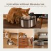 Smartoo Wireless Cat Water Fountain Stainless Steel, 152oz/4.5L Cat Fountain Battery Operated, Cordless Pet Water Fountain for Cats & Dogs with Motion Sensor, Ultra Quiet Pump, 6 Filters - Image 2