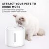 PETKIT EVERSWEET Solo 2 Cat Water Fountain with Wireless Pump, Ultra Quiet 70oz/2L Pet Water Fountain for Cats and Dogs Inside, 3 Working Modes, Visualization Window, App Control - Image 8
