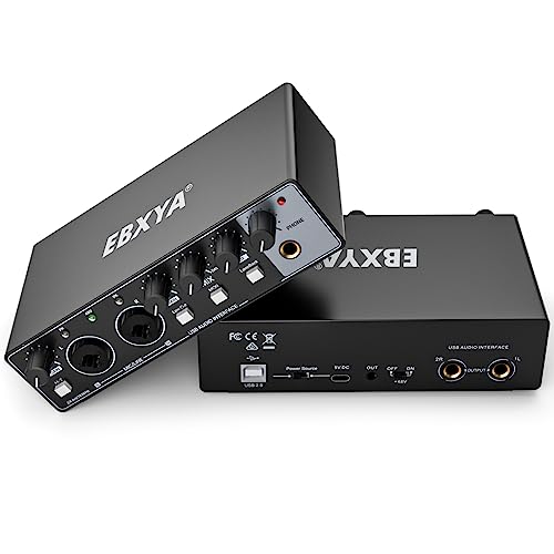 XLR to 1/4 TRS Stereo Adapter,XLR Female to 1/4 Inch (6.35mm) Stereo Balanced Microphone Stereo Audio Converter AdapterCable (2Pack / 10 FT)