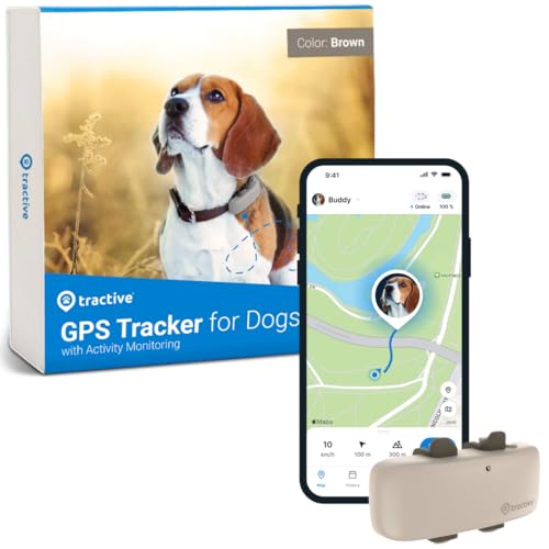 Weenect Cat XS - New GPS Tracker for Cats | Real-time Mini GPS Tracker for Cats | Smallest Model on The Market | Collar Included | Subscription Required