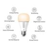 Kasa Smart Light Bulb KL110, LED Wi-Fi smart bulb works with Alexa and Google Home, A19 Dimmable, 2.4Ghz, No Hub Required, 800LM Soft White (2700K), 9W (60W Equivalent) - Image 2