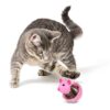 tiopeia 2Pcs Cat Treat Dispenser Toy, Mouse Shape Cat Interactive Toy and Food Dispenser for Pet Increases IQ Interactive & Food Dispensing - Image 6