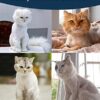 oneisall Cat Clippers for Matted Hair, Quiet Cat Shaver for Long Hair, Cordless Cat Hair Trimmer for Grooming, 2 Speed Pet Shaver Cat Grooming Kit for Cats Small Dogs Animals (Blue) - Image 5