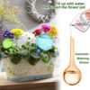 10 Pcs Plant Watering Globes Colored 2 Size Self Watering Globes Automatic Watering Bulbs Plastic Plant Water Globes Drip Irrigation Device for Indoor Outdoor Plants (10.5 & 5 Inch, 5 Colors) - Image 3