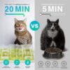 ALL FOR PAWS Interactive Puzzle Feeder and Cat Toy - Cat Brain Stimulation and Slow Feeder for Enrichment - For Indoor Cats - Image 3