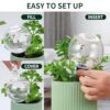 Soilagua 19 oz Extra Large Plant Self Watering Globes Top Fill, Plastic Water Bulbs, Slow Release Terracotta Self Watering Planter Insert, Plant Watering Devices System Water Plants While Away, 2 Pack - Image 4