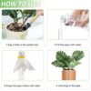 Pynqdfu 8 Pcs Clear Plant Watering Globes,Plastic Self Watering Bulbs Ball,Garden Water Device for Plant Indoor Outdoor(Small) - Image 4