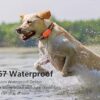 ANSION Smart Pet GPS Tracker Collar, 4G, Real-Time Position Tracking, GPS Dog Tracker, Activity and Fitness Monitor, Waterproof, Sound/Light Alarm, Escape Alerts - Image 5
