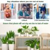 10 Pcs Plant Watering Globes Colored 2 Size Self Watering Globes Automatic Watering Bulbs Plastic Plant Water Globes Drip Irrigation Device for Indoor Outdoor Plants (10.5 & 5 Inch, 5 Colors) - Image 5