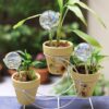 2pcs Glass Plant Watering Globes, Rainbow Color Self Watering Globes for Everyday Home or Vacation Use, Garden Patio Hanging Flower Plant Self Water Device Automatic Drip Irrigation Plant Waterer Bulb - Image 2