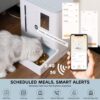 FW54 5G/2.4GHz WiFi Automatic Feeder and Waterer 2-in-1 Set for Pets, 300 oz Large Capacity for 2 Weeks, Perfect for Working Parents - Image 2