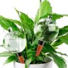 Soilagua 19 oz Extra Large Plant Self Watering Globes Top Fill, Plastic Water Bulbs, Slow Release Terracotta Self Watering Planter Insert, Plant Watering Devices System Water Plants While Away, 2 Pack