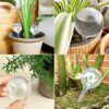 Pynqdfu 8 Pcs Clear Plant Watering Globes,Plastic Self Watering Bulbs Ball,Garden Water Device for Plant Indoor Outdoor(Small) - Image 7
