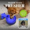 Easy-Clean Water Bowl Water Bowl with 10 foot Long Stainless Steel Hose - Image 3