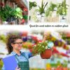 10 Pcs Plant Watering Globes Colored 2 Size Self Watering Globes Automatic Watering Bulbs Plastic Plant Water Globes Drip Irrigation Device for Indoor Outdoor Plants (10.5 & 5 Inch, 5 Colors) - Image 7
