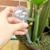 Pynqdfu 8 Pcs Clear Plant Watering Globes,Plastic Self Watering Bulbs Ball,Garden Water Device for Plant Indoor Outdoor(Small) - Image 6