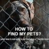 ANSION Smart Pet GPS Tracker Collar, 4G, Real-Time Position Tracking, GPS Dog Tracker, Activity and Fitness Monitor, Waterproof, Sound/Light Alarm, Escape Alerts - Image 8