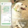 Smart GPS Tracker for Dogs, Pet GPS Location Tracker with 3 Silicon Cases and 1 Collar, Real Time Location & Smart Activity Tracking Device, Waterproof, Tiny & Light - Image 4