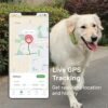 Smart GPS Tracker for Dogs, Pet GPS Location Tracker with 3 Silicon Cases and 1 Collar, Real Time Location & Smart Activity Tracking Device, Waterproof, Tiny & Light - Image 3