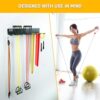 Double Circle Gym Equipment Storage Rack - Multi Purpose Gym Equipment Wall Rack Hanger for Pro Home Gym Storage for Exercise Bands, Barbell Bar, Jump Ropes, Chains, Lifting Belts - Image 4