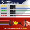 WHATAFIT Resistance Bands, Exercise Bands，Resistance Bands for Working Out, Work Out Bands with Handles for Men and Women Fitness, Strength Training Home Gym Equipment - Image 2
